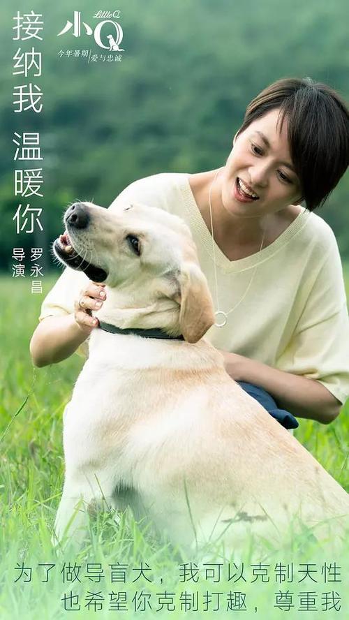 考文垂 Coventry二手闲置 毕业证成绩单认证